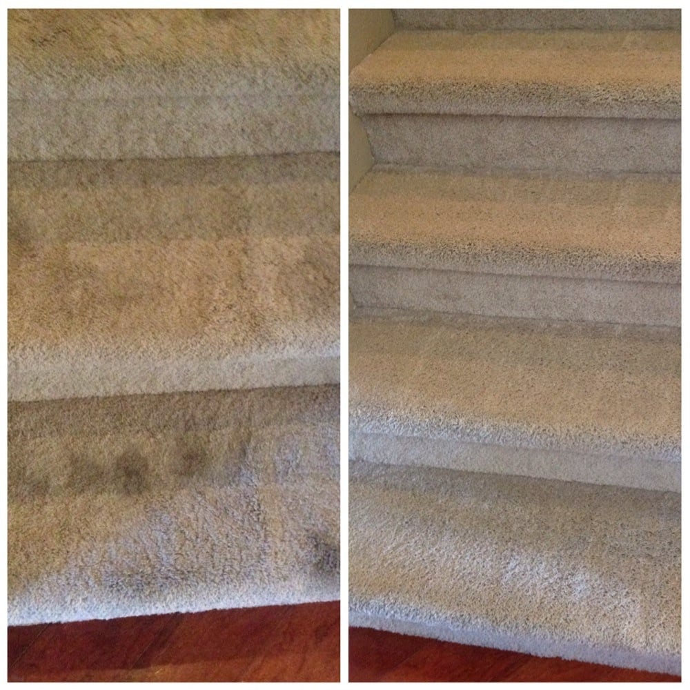 Image Result For Carpet Cleaning Elk Grove Ca Image Result For Carpet Cleaning Elk Grove Ca