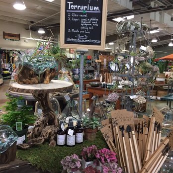 Green Acres Nursery Supply 412 Photos 101 Reviews Nurseries Photo Of Green Acres Nursery Supply Elk Grove Ca United States