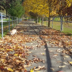 leash park near me leash parks a yelp list by o leash park near me leash parks a yelp list by o