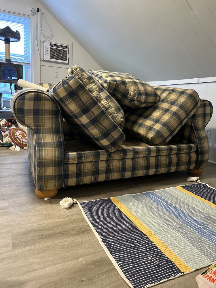 image of business Restore My Floor