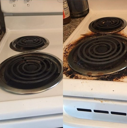 Molly Maid of Cary & Johnston County