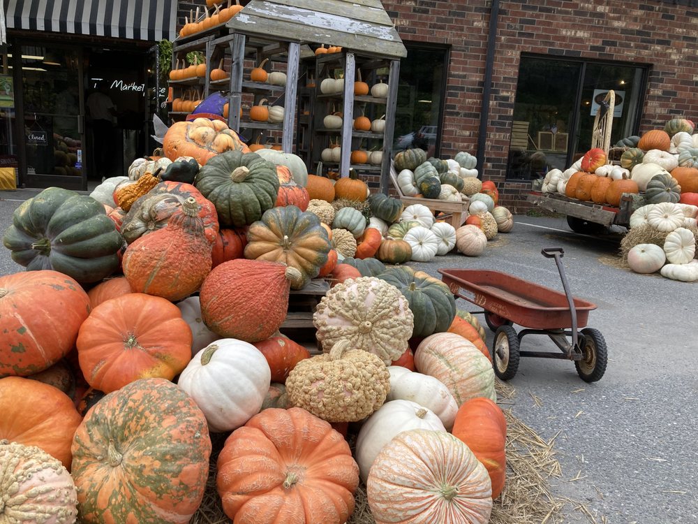 Curiosity Consignment Mega Warehouse