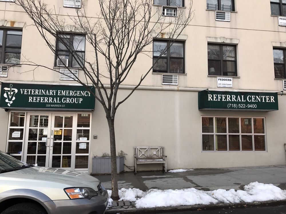 VERG Veterinary Emergency and Referral Group 23 Photos & 301 Reviews