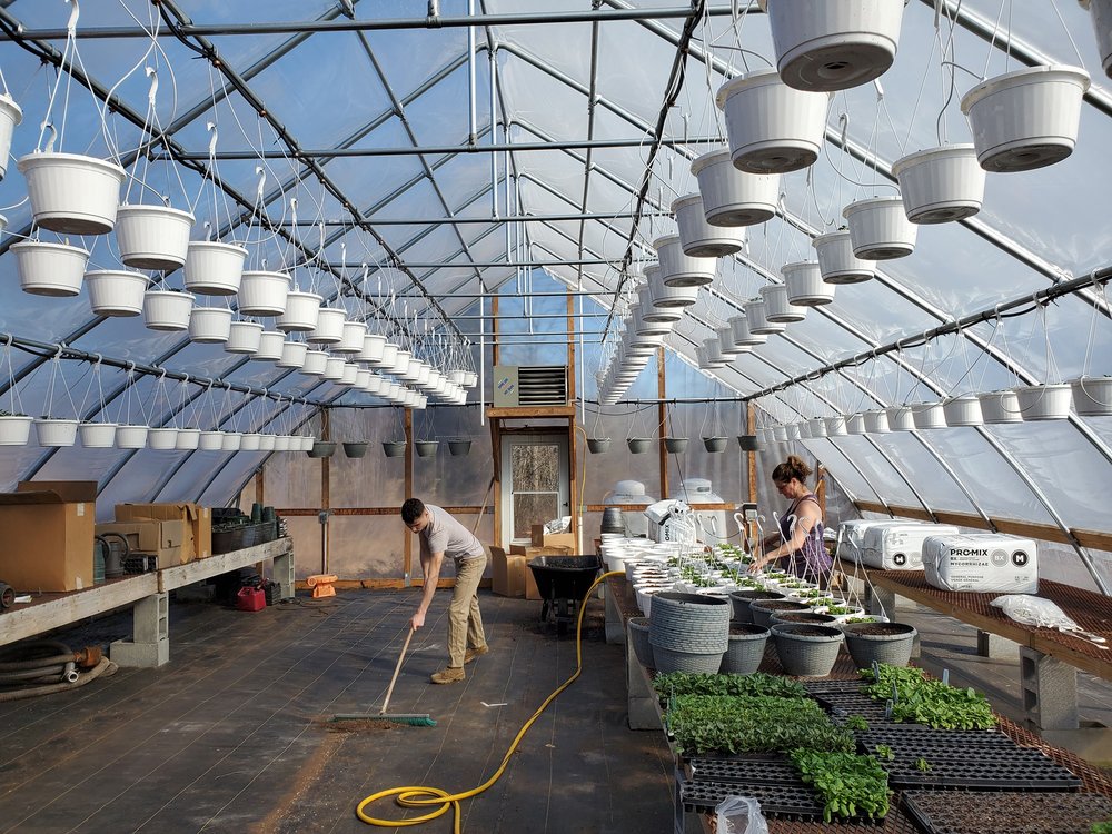 Mercier Farms