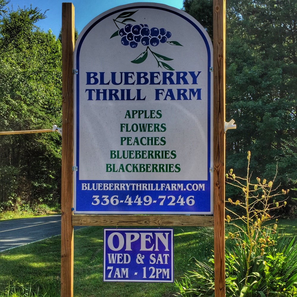 Blueberry Thrill Farm