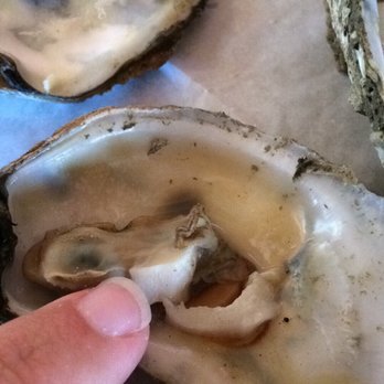 Seafood Restaurants In Jacksonville Fl Best Seafood Restaurants Jacksonville Beach Best Restaurant Fl