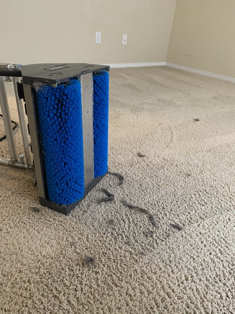 Clear Water Carpet Care