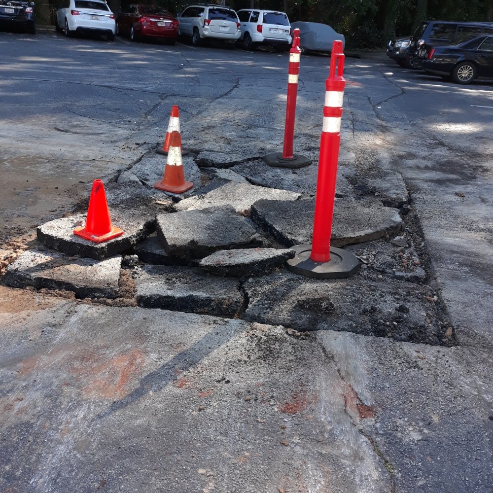 image of business Clog Dog Digger