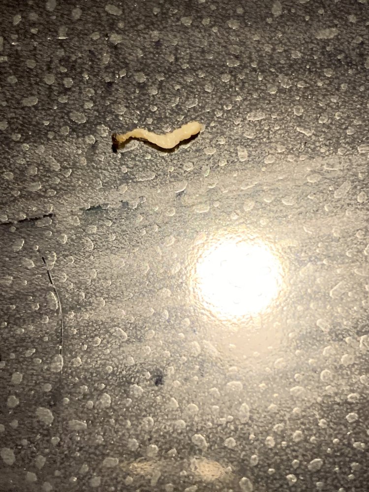 Osaka Japanese Express