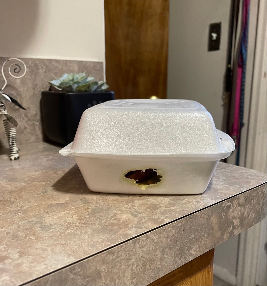 Namaste Flavours Arbor