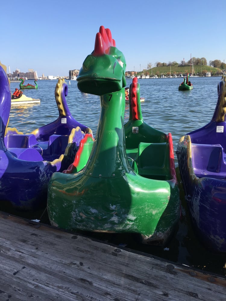 Team Chessie Inner Harbor Paddleboats and Electric Boats 2019 All