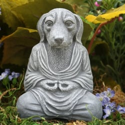 Karma Dog Training San Antonio Karma Dog Training San Antonio