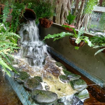 Everglades Wonder Gardens 53 Photos 30 Reviews Zoos 27180 Photo Of Everglades Wonder Gardens Bonita Springs Fl United States Small Waterfall