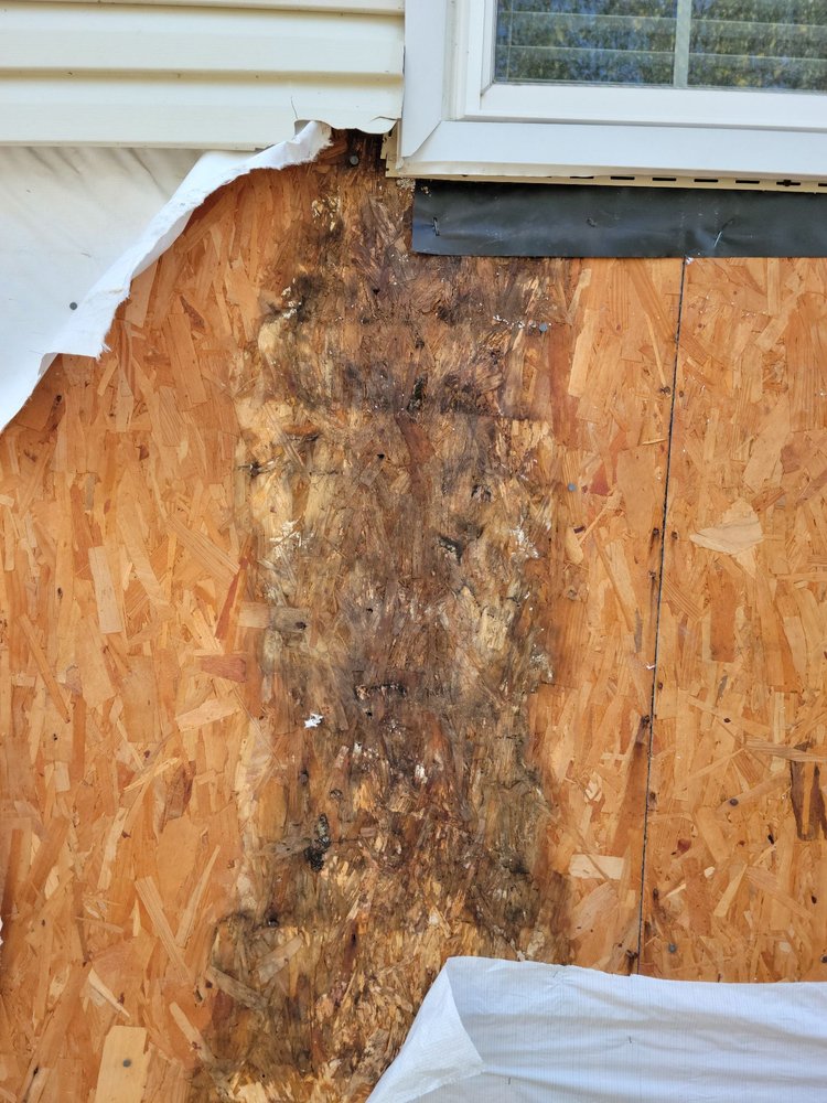 Beach Windows & Siding