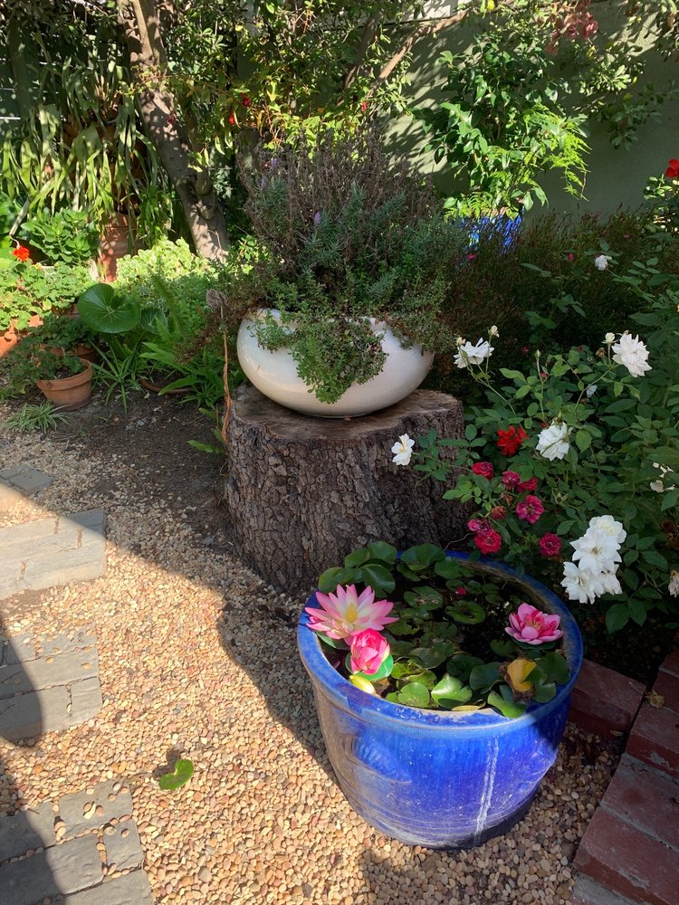 Gardening Maintenance