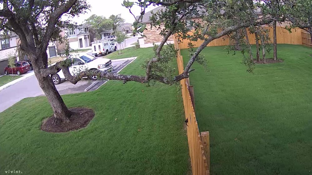 Denton Lawn Care 14 Reviews Landscaping 2348 Lyla Ln Leander Denton Lawn