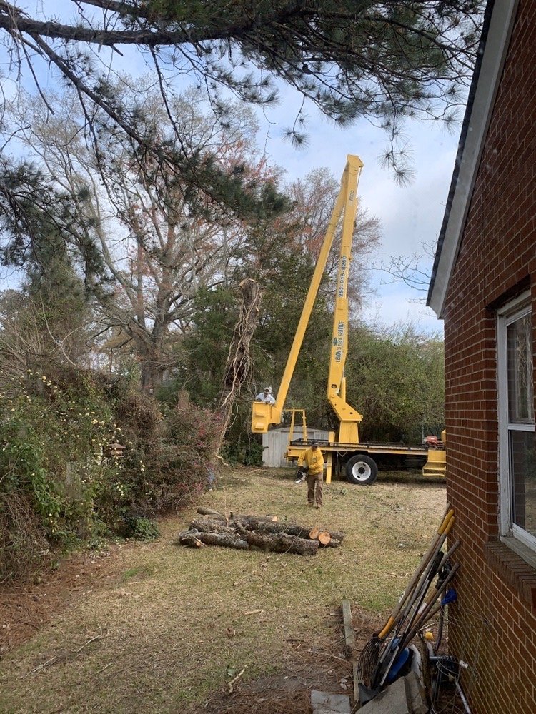 Levon's Tree Service