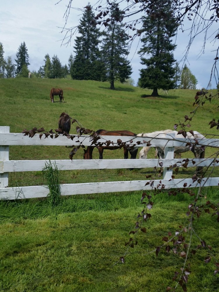 Holbrook Country Properties