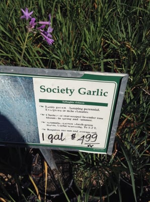 Joseph S Nursery 3723 Fm 1128 Rd Pearland Tx Nurseries Mapquest