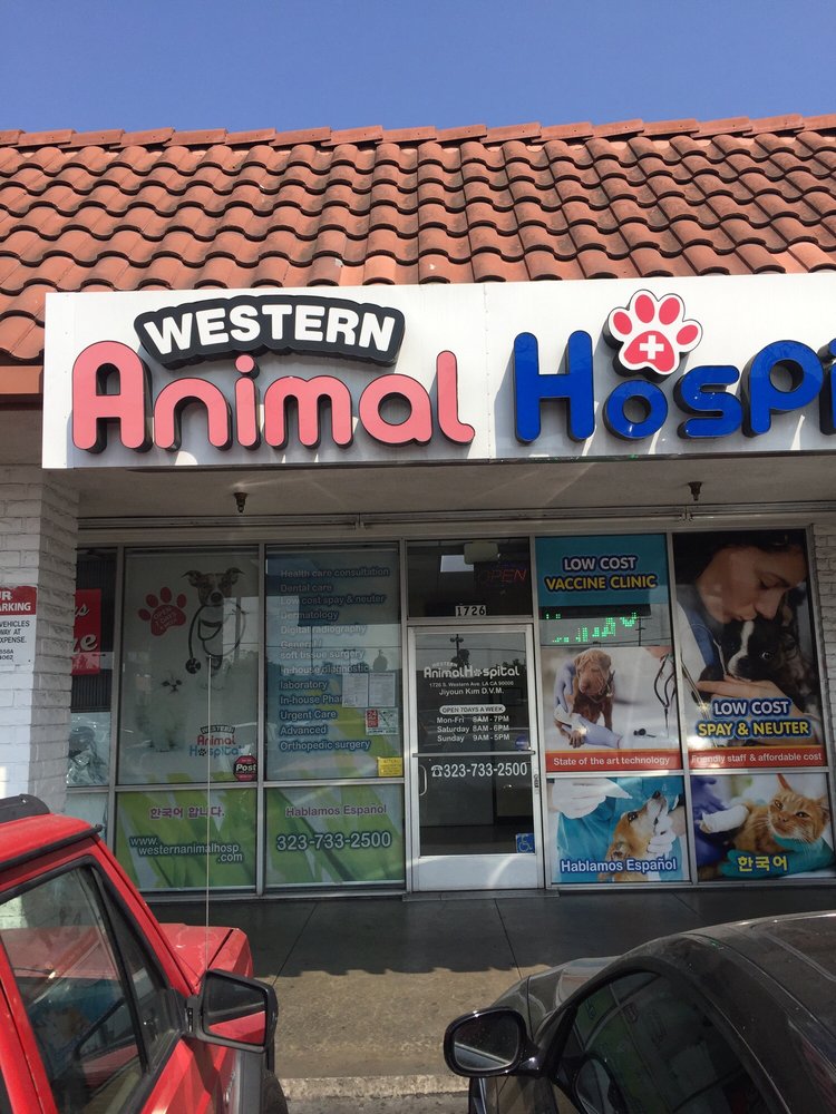 Western Animal Hospital 21 Photos & 100 Reviews Veterinarians