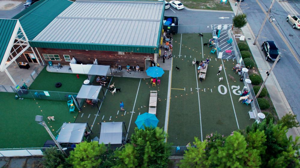 Doggos Dog Park and Pub