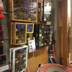 Earthbound Trading Company 29 Photos Home Decor 2701 Ming Ave Photo Of Earthbound Trading Company Bakersfield Ca United States Such Awesome Erfly