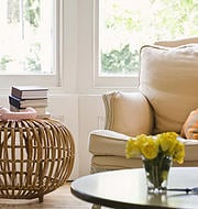 Mt. Tam Cleaning Services