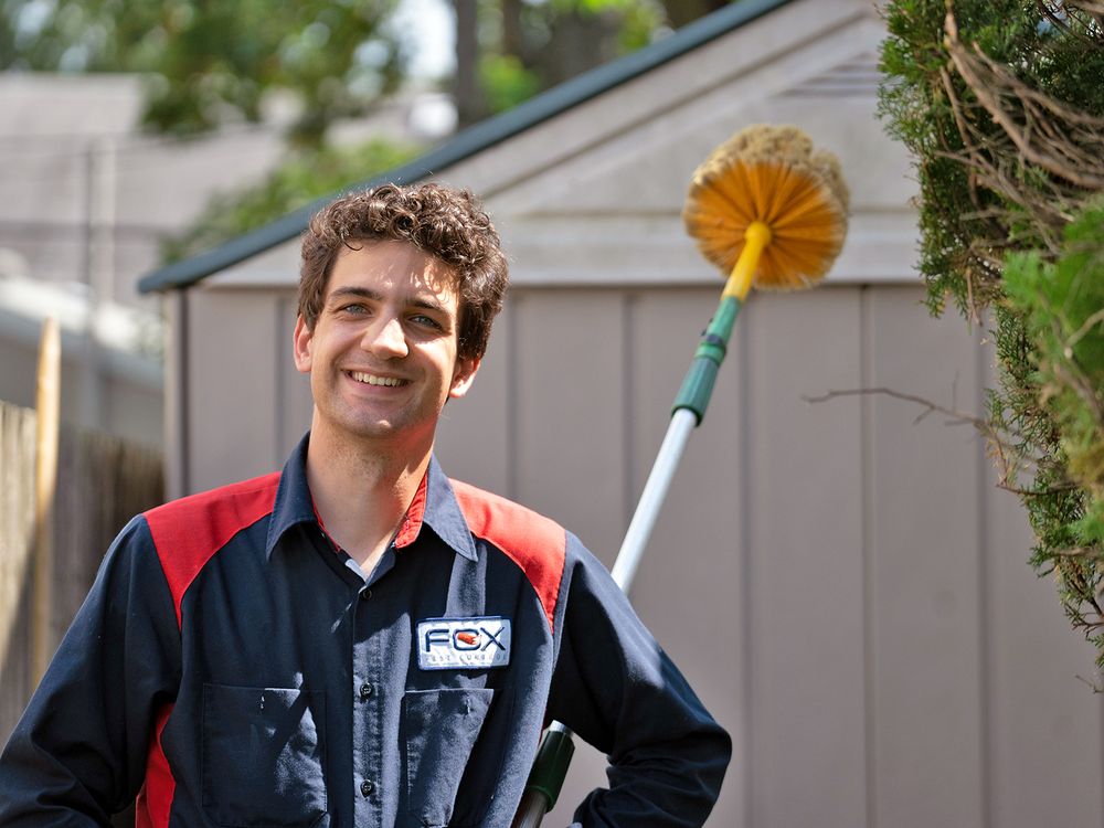 Fox Pest Control - Midland