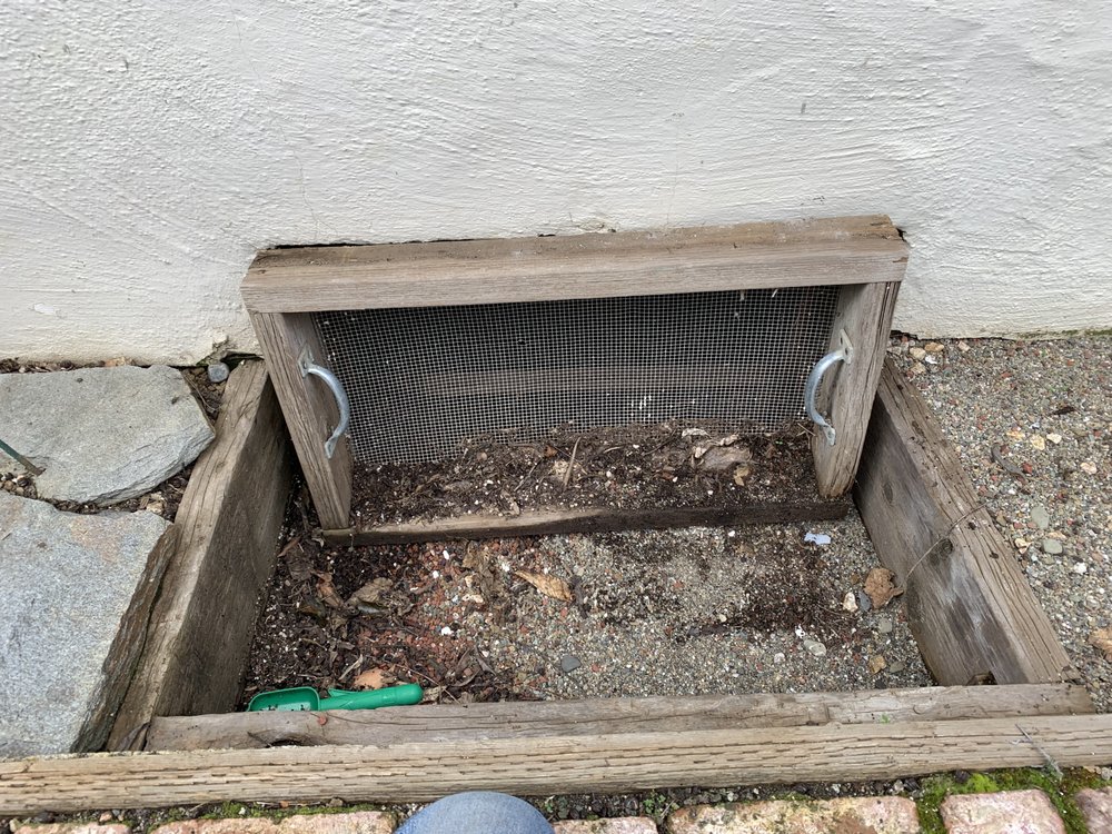 Bay Area Mold Pros