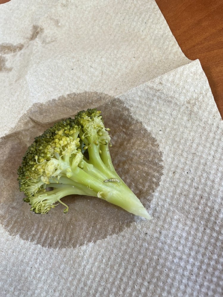 Golden Corral Buffet and Grill Golden Corral Buffet and Grill