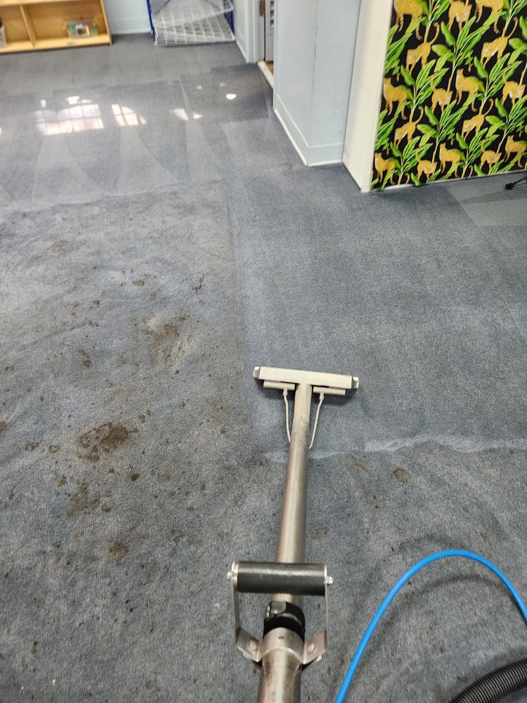 Steambrite Carpet Cleaning Services