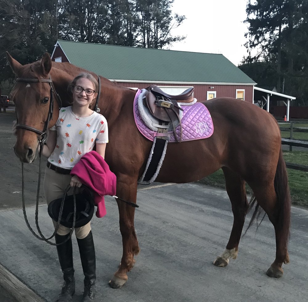 Salko Farm & Stables
