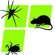 Protech Pest Control