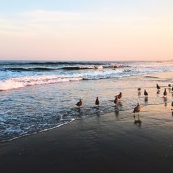 Strathmere Nj Beach The Best Beaches In World Strathmere Beach 32 Photos Beaches Teseh Ave