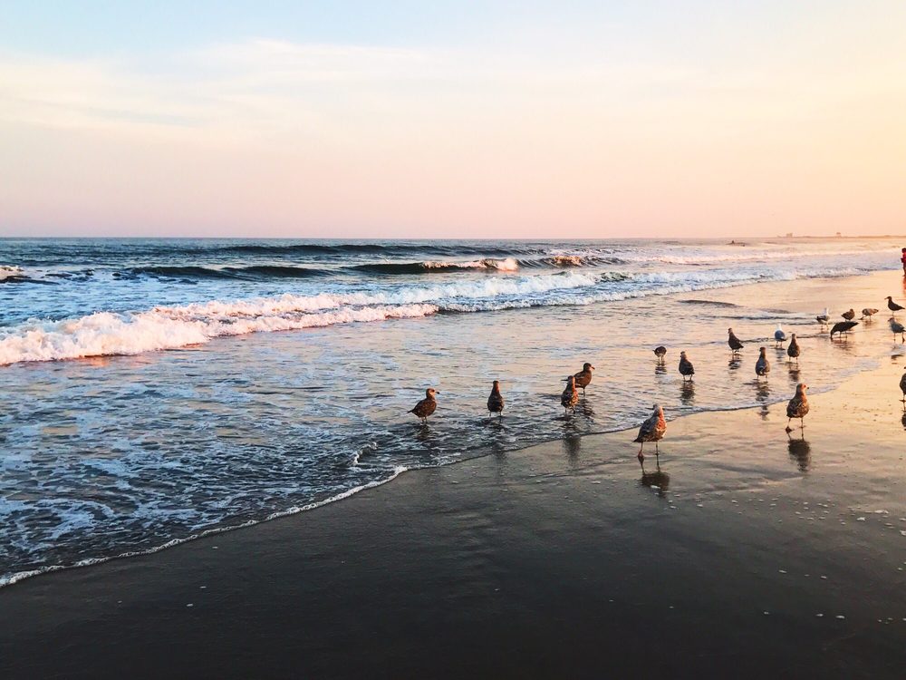 Strathmere Beach 28 Photos Beaches Tecumseh Ave, Strathmere, NJ Yelp