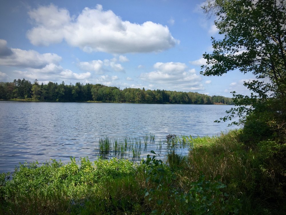 Brady's Lake Dam