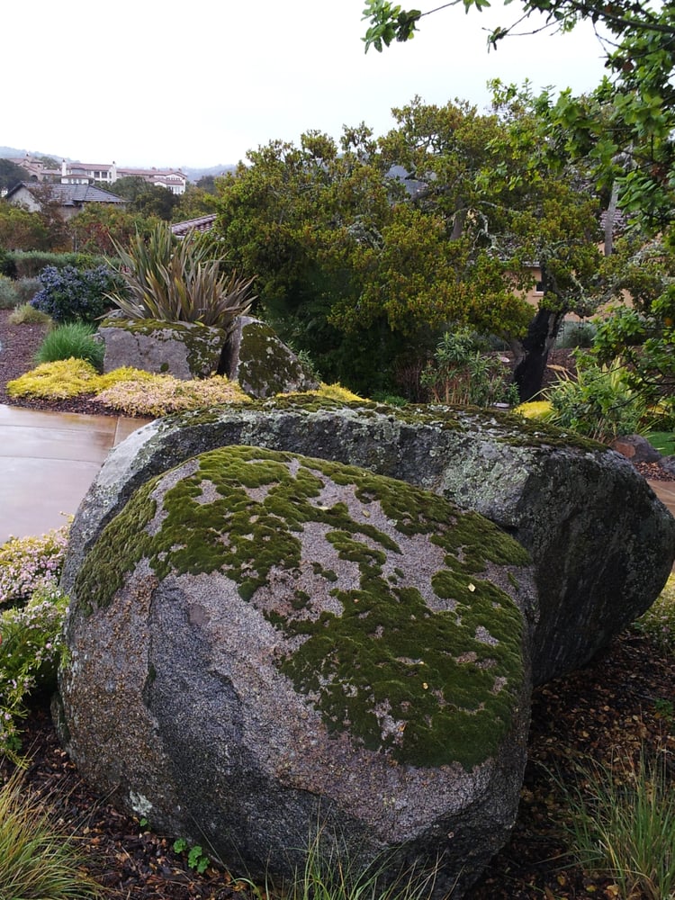 minimal water usage landscape with large boulders yelp minimal water usage landscape with large boulders yelp