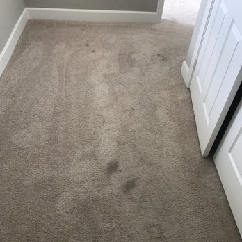 Petrichor Carpet Cleaning 33 Photos 60 Reviews