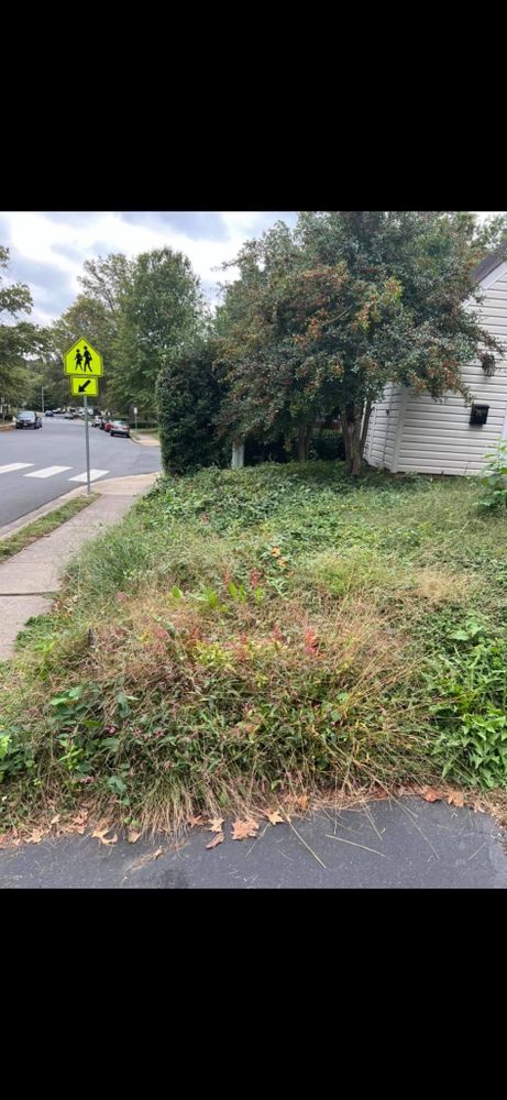 All About Landscaping
