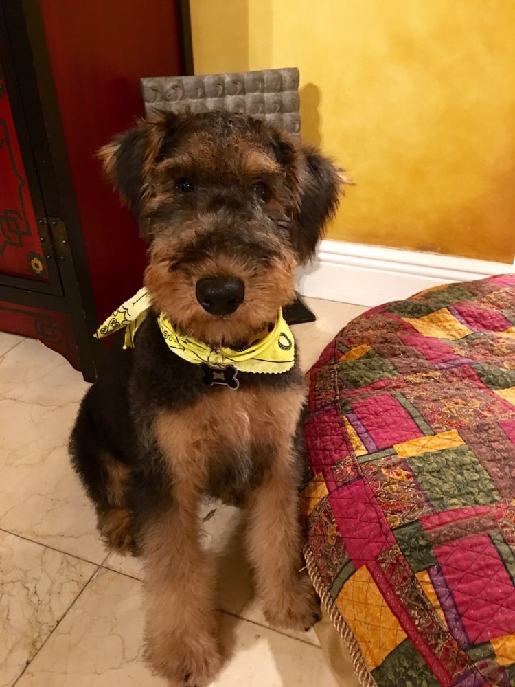 Pet Lovers Animal Clinic 17 Photos & 49 Reviews Veterinarians