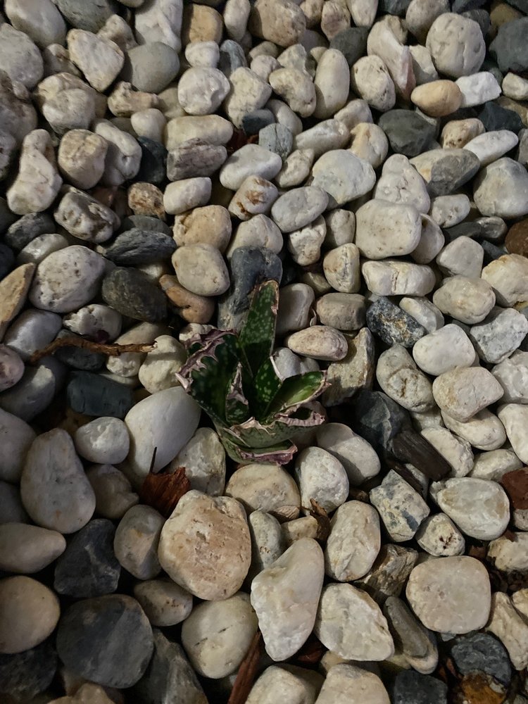 image of business VC Builder