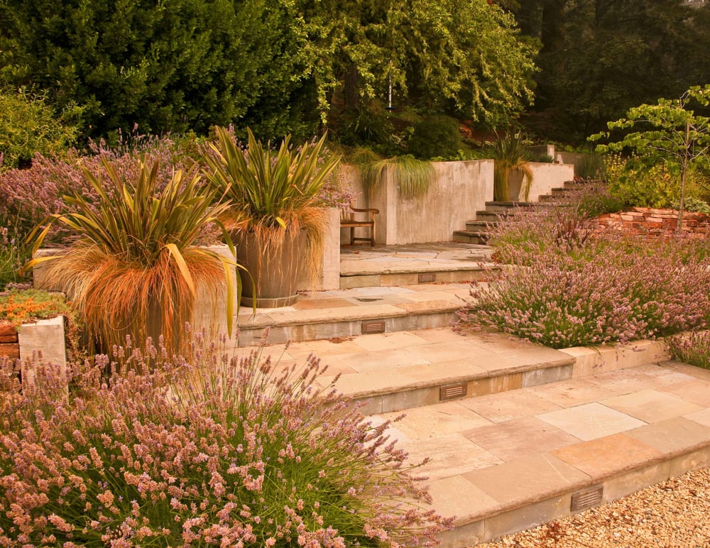 A Sweeping Entry Path Using Natural Edged Full Range