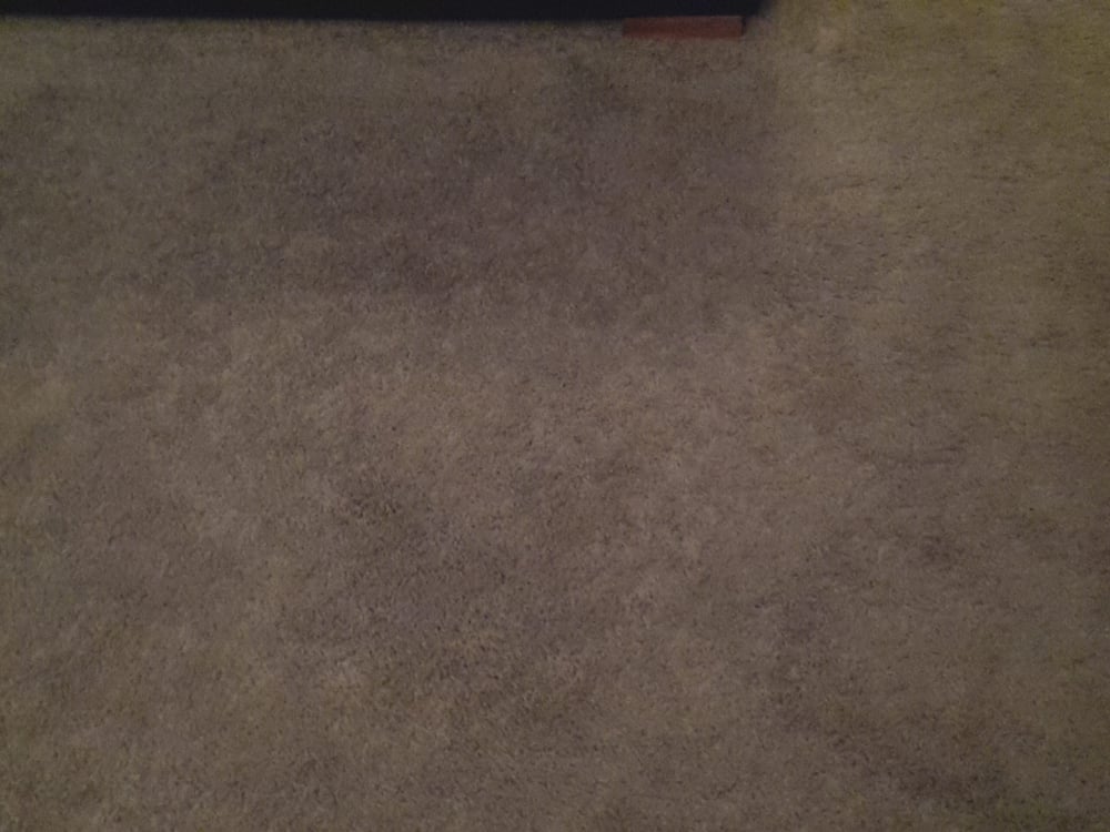 image of business Excel Carpet Flooring