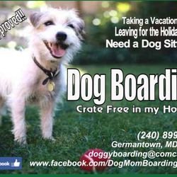 Stunning Dog Boarding Germantown Md Moment for Desktop Stunning Dog Boarding Germantown Md Moment for Desktop