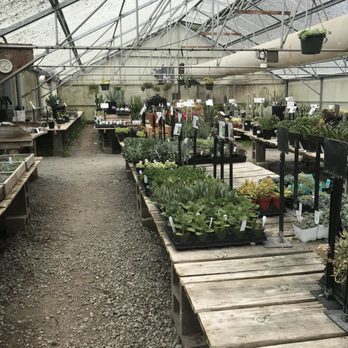 Half Moon Bay Nursery 275 Photos 170 Reviews Nurseries Photo Of Half Moon Bay Nursery Ca United States