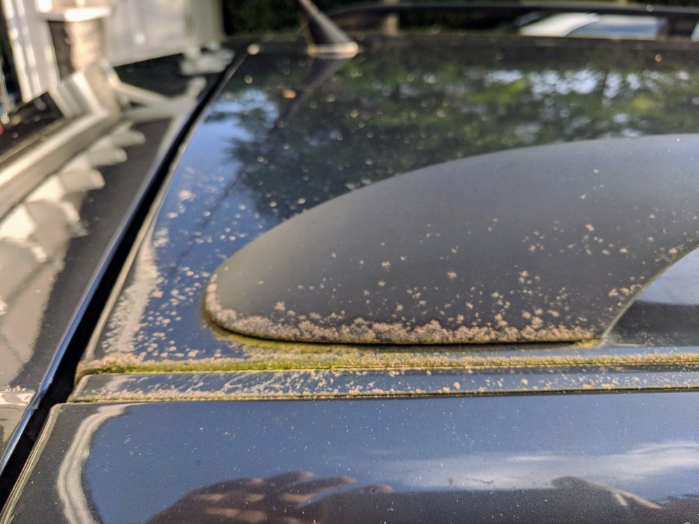 Kiss Car Wash 30 Photos & 70 Reviews Car Wash 12475 SW Main St