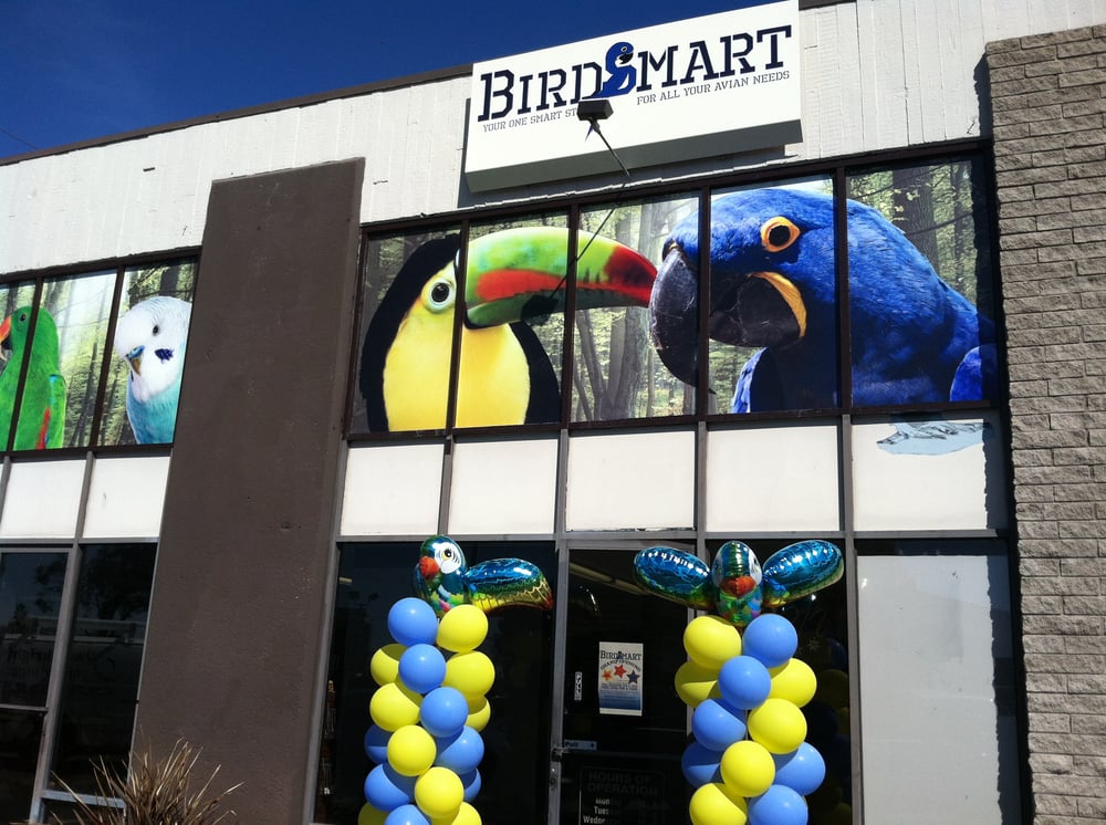 BirdSmart 29 Photos & 42 Reviews Pet Boarding/Pet Sitting 8868