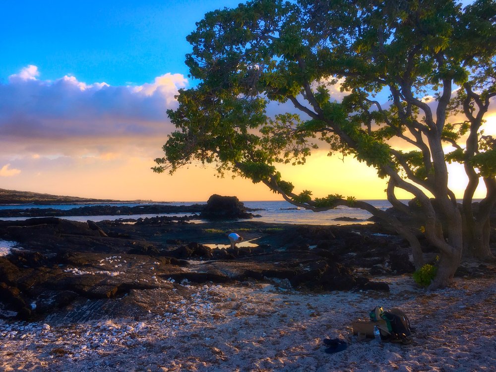 Kikaua Point Park 20 Photos Parks 723055 Kakapa Pl, Hōlualoa, HI