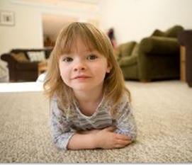 image of business Axminster Rug