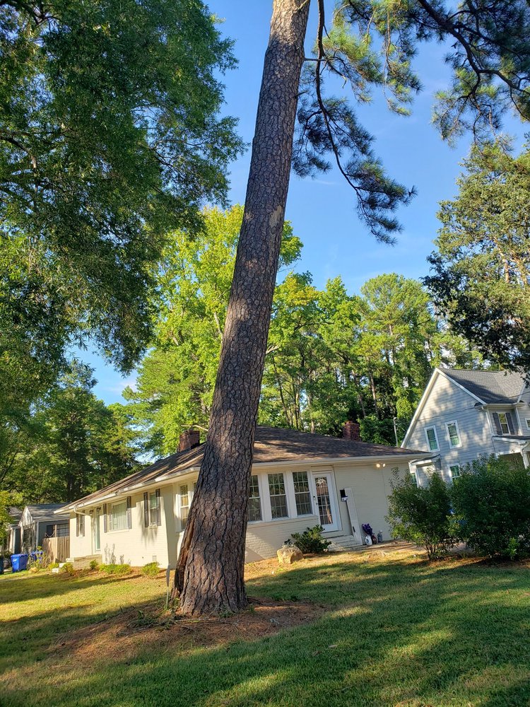 Flores Landscaping & Tree Service